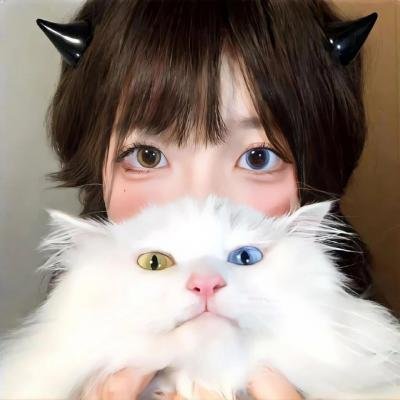 穿靴子的猫